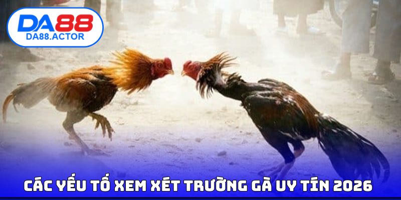 Top 5 Trường Gà Uy Tín, Giải Trí Chất Lượng #1 Hiện Nay 2 Các yếu tố xem xét trường gà uy tín 2026