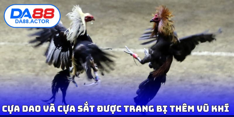 Cựa dao và cựa sắt được trang bị thêm vũ khí