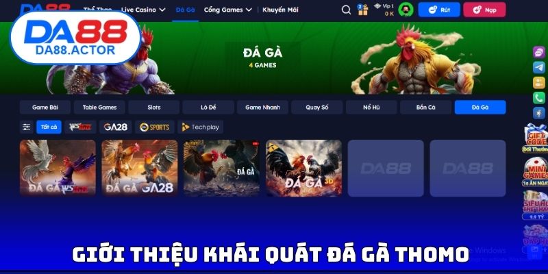 Đá Gà Thomo - Xem Trực Tiếp Full Hd, Không Giật Lag Tại DA88 2 Giới thiệu khái quát đá gà thomo