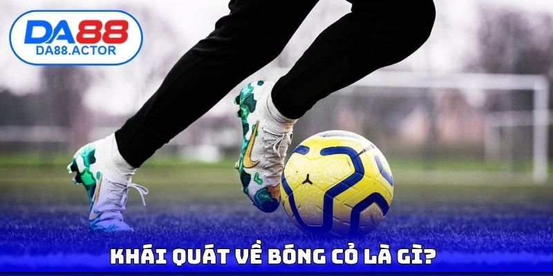 Bóng Cỏ Là Gì? Thị Trường Ngách Sôi Động Và Sức Hấp Dẫn 2 Khái quát về bóng cỏ là gì?