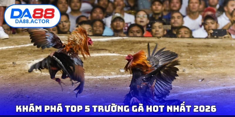 Top 5 Trường Gà Uy Tín, Giải Trí Chất Lượng #1 Hiện Nay 3 Khám phá top 5 trường gà hot nhất 2026