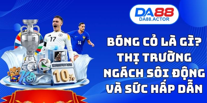 Bóng Cỏ Là Gì? Thị Trường Ngách Sôi Động Và Sức Hấp Dẫn 1 Bóng Cỏ Là Gì