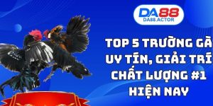Top 5 Trường Gà